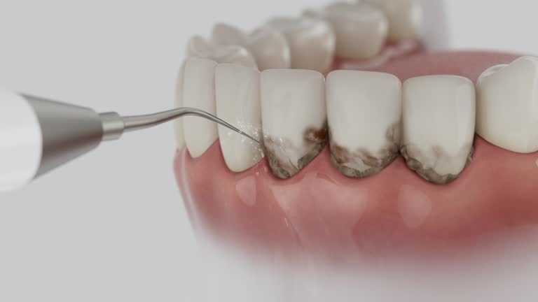 Reliable Dental contractor in St. James, MD by Dentist Open Now